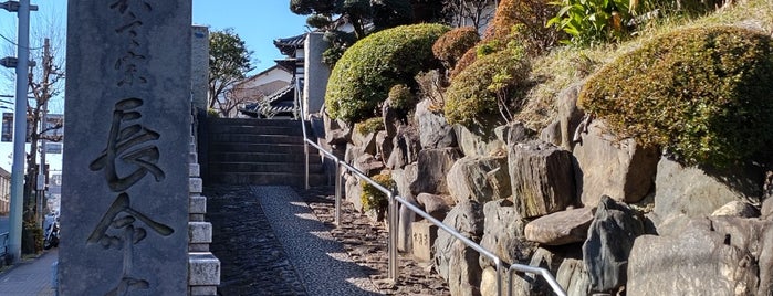 長命寺 is one of 訪問済みの城.