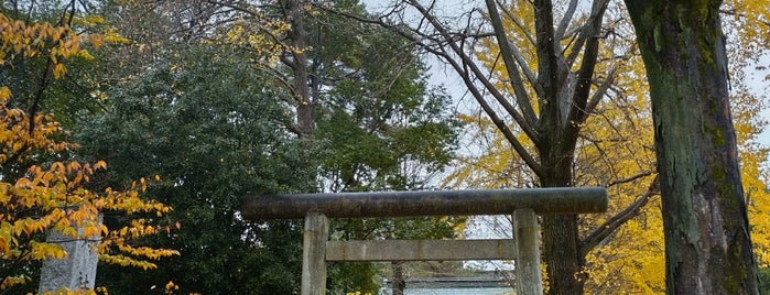 熊野神社 is one of 自転車でお詣り.