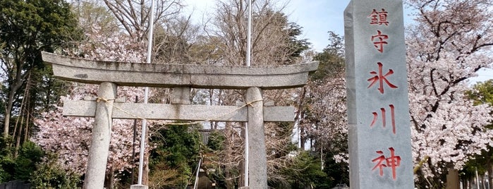 赤井氷川神社 is one of 神輿で訪れた場所-1.