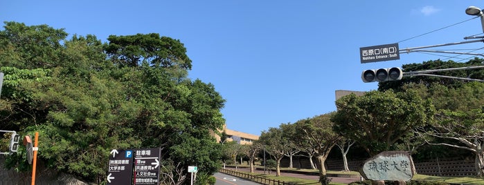 University of the Ryukyus is one of 国立大学 (National university).