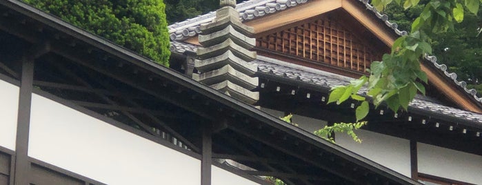 乗願寺 is one of Tempat yang Disukai Sigeki.