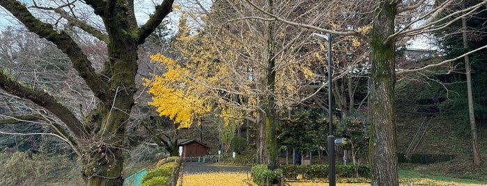 釜の淵公園 is one of 公園.
