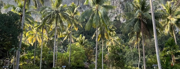 Ban Sainai Resort is one of Krabi.