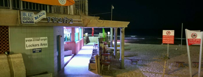 Blue Bird Beach Club is one of Хорошие места.