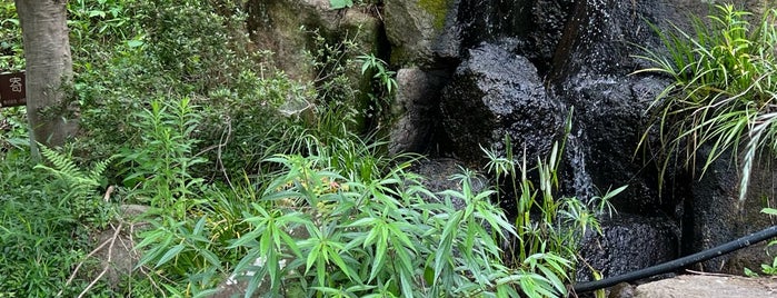 FISH ON! 王禅寺 is one of 川のある風景.