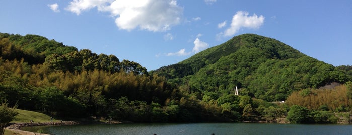 Okuno Dam is one of 伊豆.