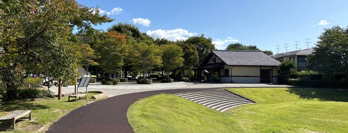 龍神の杜公園 is one of 軽井沢キッズスポット.