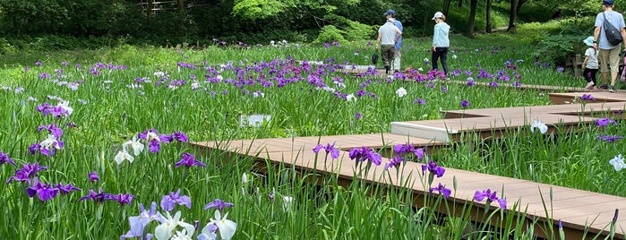 四季の森公園 しょうぶ園 is one of 神奈川ココに行く！ Vol.11.