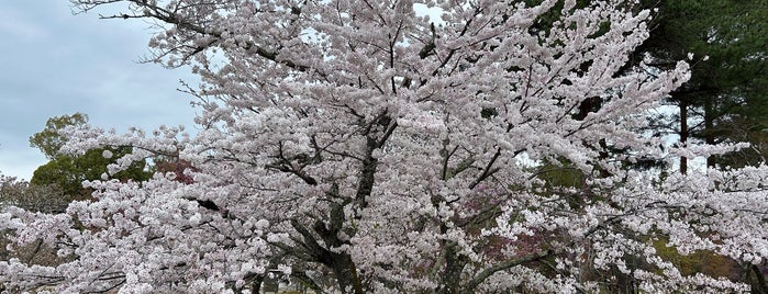 仁和寺 五重塔 is one of 日本の五重塔（国宝と重文）.