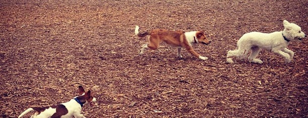 Loveland Dog Park is one of haunts.