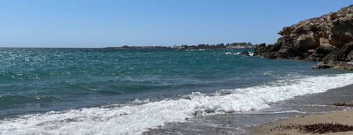 Beach of Paphos is one of Zypern.