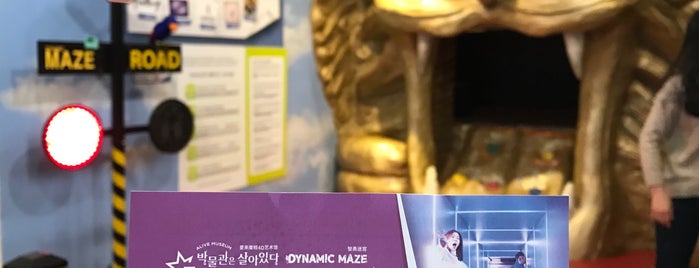 Dynamic Maze is one of Seoul.