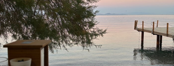 Karaburun Ergin Restaurant is one of IzmirManisaAydin.