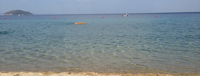 Beach Porto Carras is one of Sithonia's beaches.