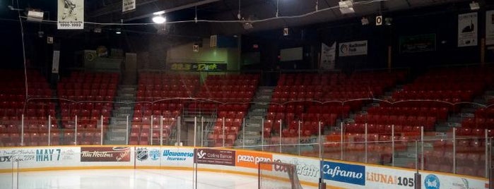 Harry Lumley Bayshore Arena is one of minor league sports arenas.