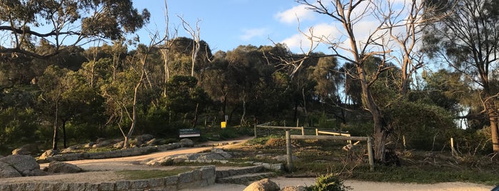 Flinders Peak Walk is one of สถานที่ที่ Greg ถูกใจ.