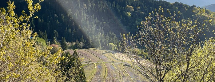 若桜町 is one of 中四国の市区町村.