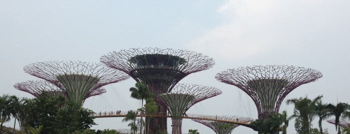 Gardens by the Bay is one of Singapore places.