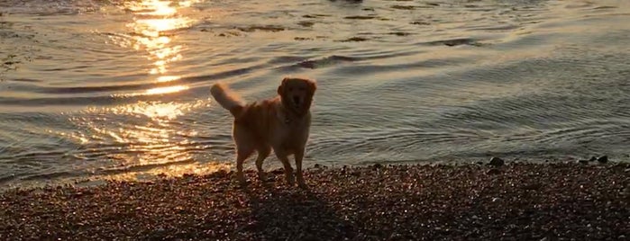 Lloyd Beach is one of Lugares favoritos de Rebecca.