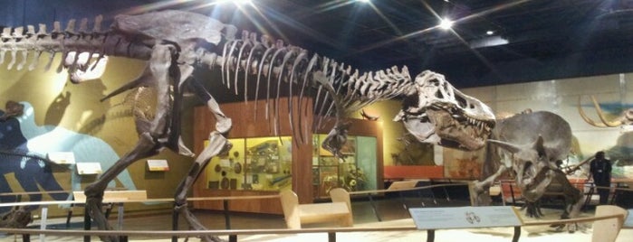 Cleveland Museum of Natural History is one of Lieux qui ont plu à José.