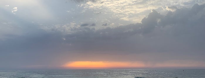 Poleg Beach is one of Israel.