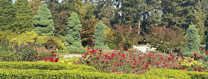 Woodland Park Rose Garden is one of Pacific North West.
