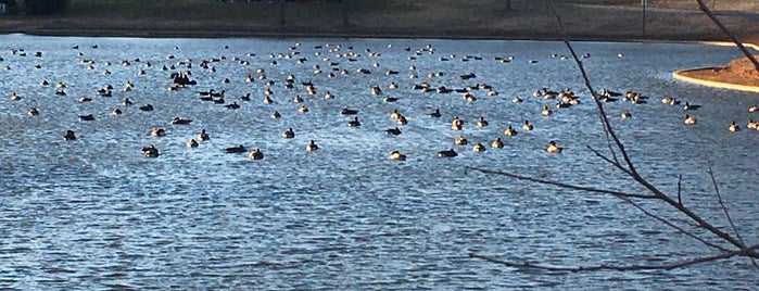 Whittier Lake Recreation Area is one of The Great Outdoors.