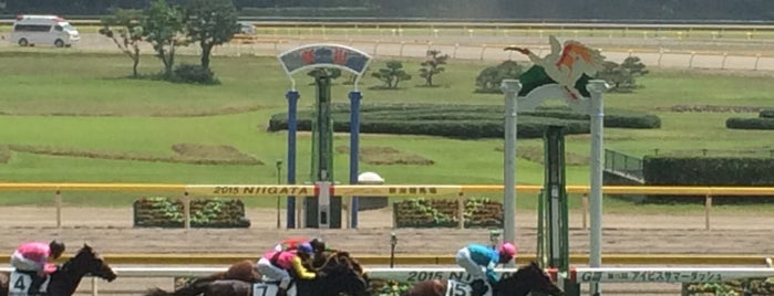Niigata Racecourse is one of 競馬場.