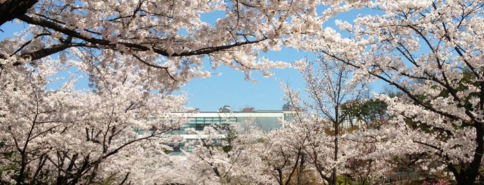 亜州大学校 is one of 수원시의 이곳저곳.