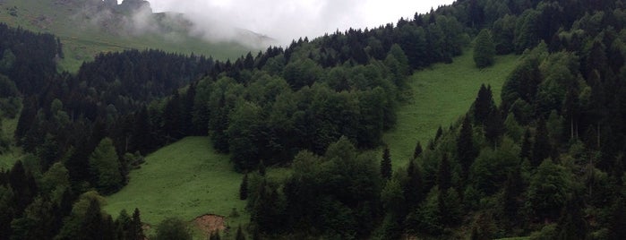Zigana is one of Trabzon, Rize & Artvin.