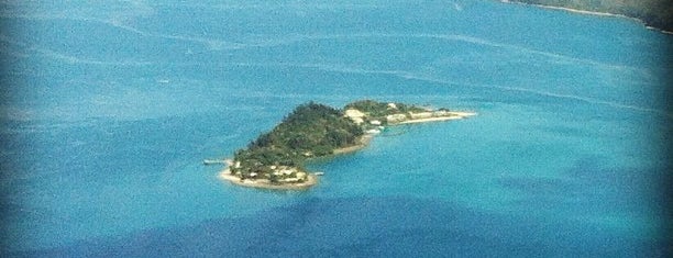 Daydream Island is one of JRA 님이 좋아한 장소.