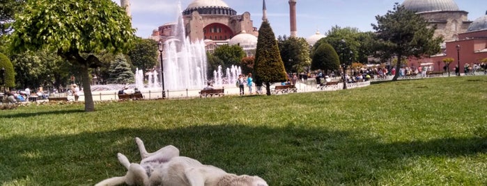 Place du Sultan-Ahmet is one of Istanbul.