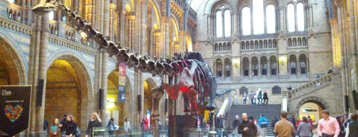 Natural History Museum is one of London.