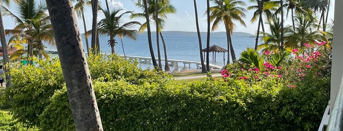 Copamarina Beach Resort is one of Lieux qui ont plu à خورخ دانيال.