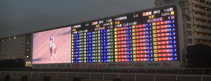 Kawasaki Racecourse is one of 競馬.