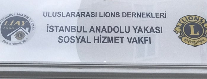 Lions 118-Y İstanbul Anadolu Yakası YÇ Federasyonu