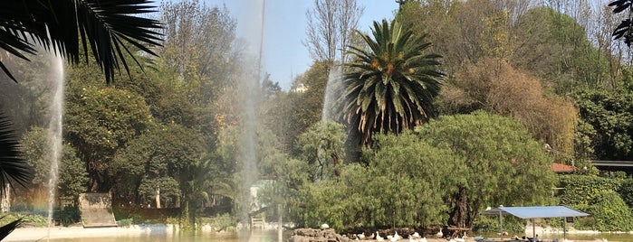 Parque México is one of Orte, die Raúl gefallen.