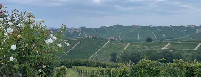 Casa Nicolini is one of Langhe.