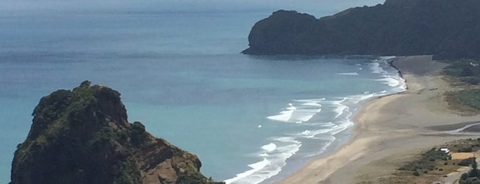 Piha Lookout is one of Posti che sono piaciuti a Jahed.