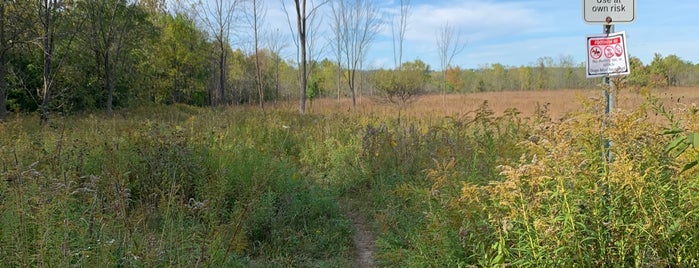 McMaster Forest is one of Outdoors.