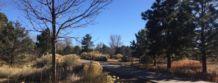 Orchard Hills Park is one of Weekend Activity in Denver.