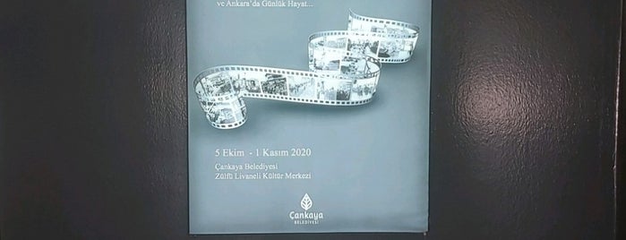 Zülfü Livaneli Kültür Ve Sanat Merkezi is one of Barisさんのお気に入りスポット.