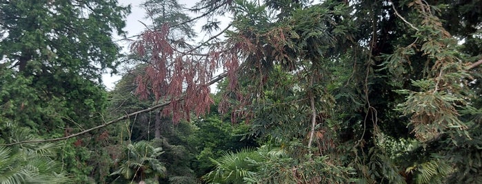 Ataturk Arboretumu is one of Yalova.