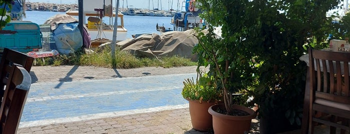 Alp Balık Evi Küçükkuyu is one of Assos.