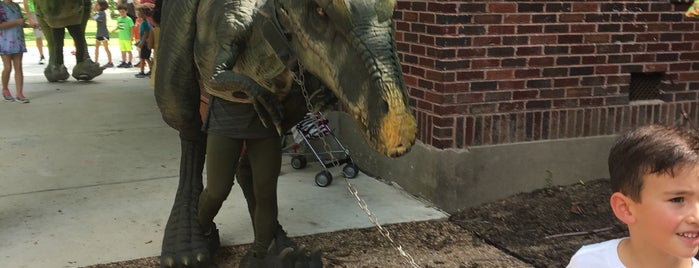 Nature Discovery Center is one of Playgrounds to check out.