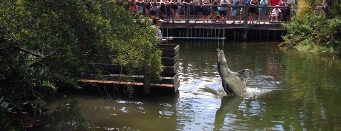 La Selva Brevard Zoo is one of สถานที่ที่ Lizzie ถูกใจ.