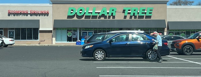 Dollar Tree is one of Stores.