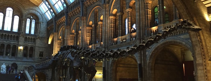 Natural History Museum is one of Serkanさんのお気に入りスポット.