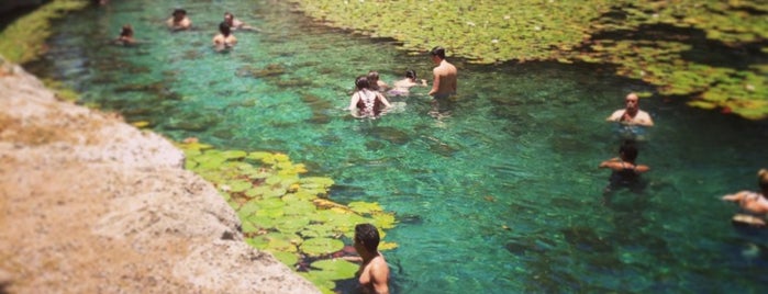 Cenote Xlakah | Dzibilchaltun is one of Traveltimes.com.mx ✈'ın Beğendiği Mekanlar.