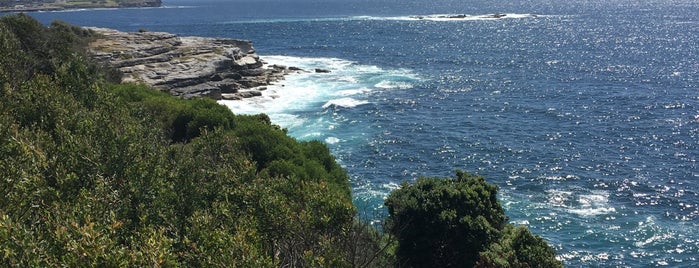 South Coogee Cliff Walk is one of Raluca Bastucescuさんのお気に入りスポット.